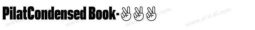 PilatCondensed Book字体转换